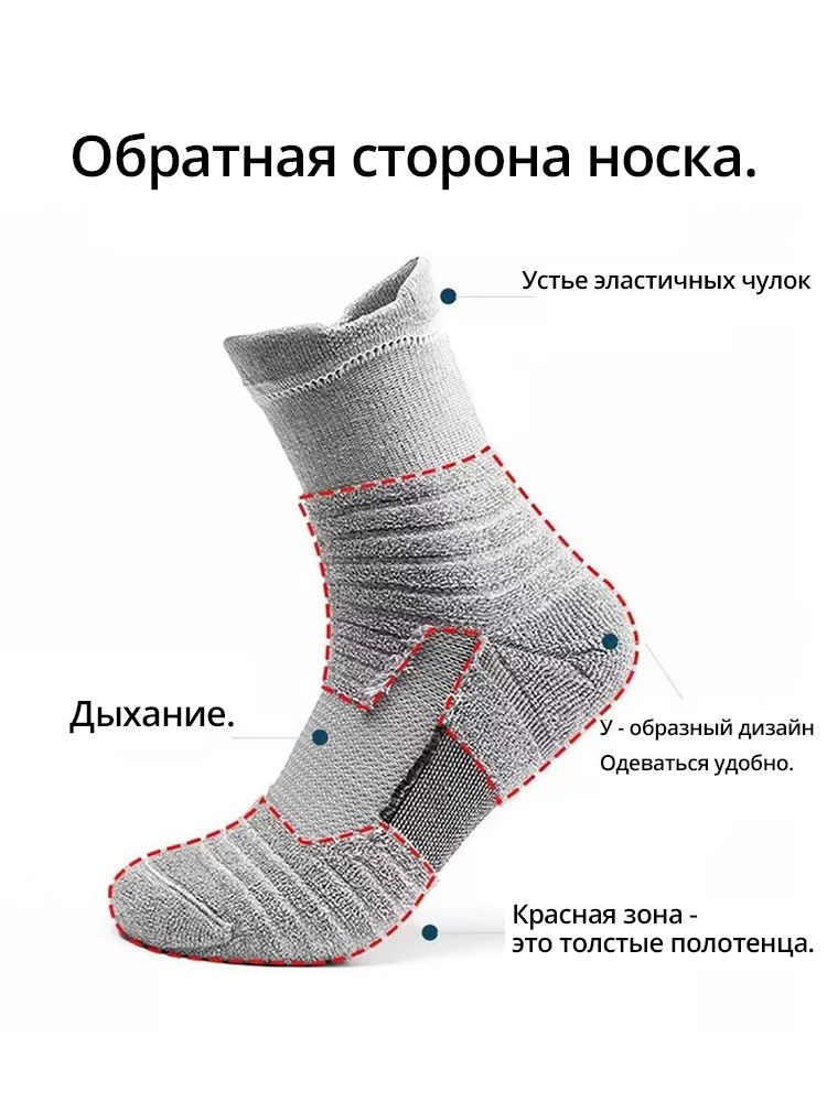 Носки, 6 пара