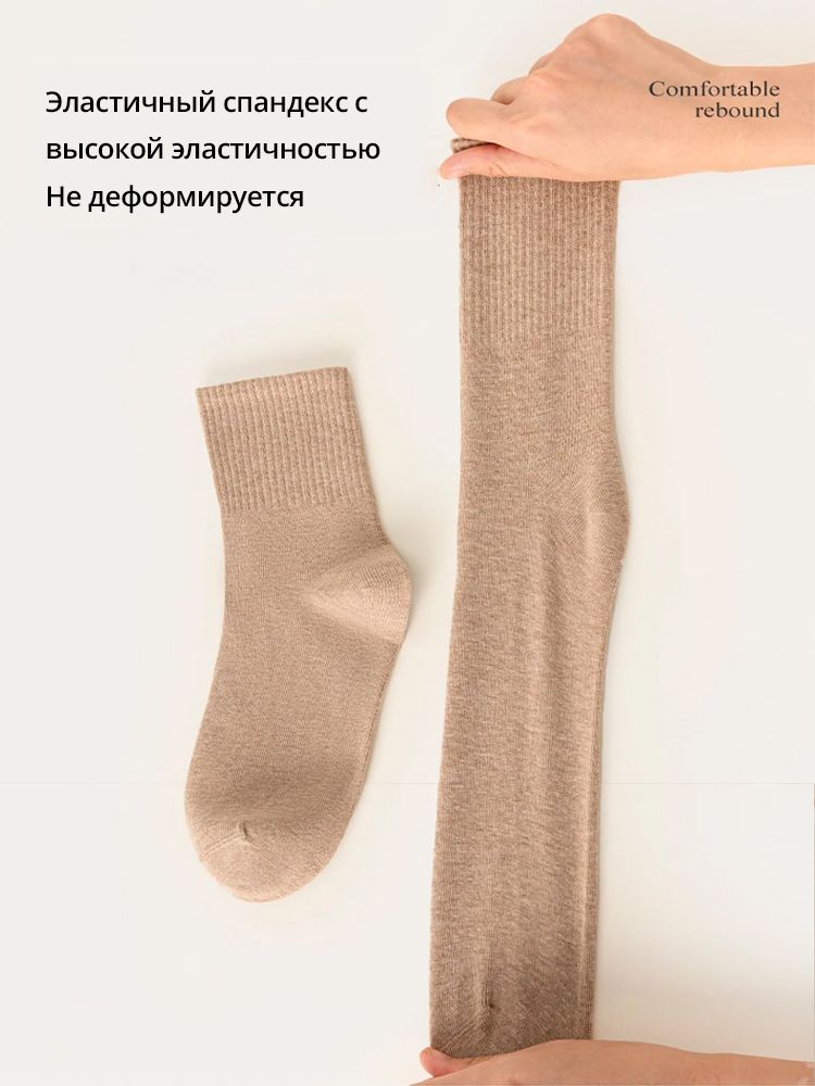 Расчесанные хлопчатобумажные носки, HSS, Летний красочный носок,10 пар