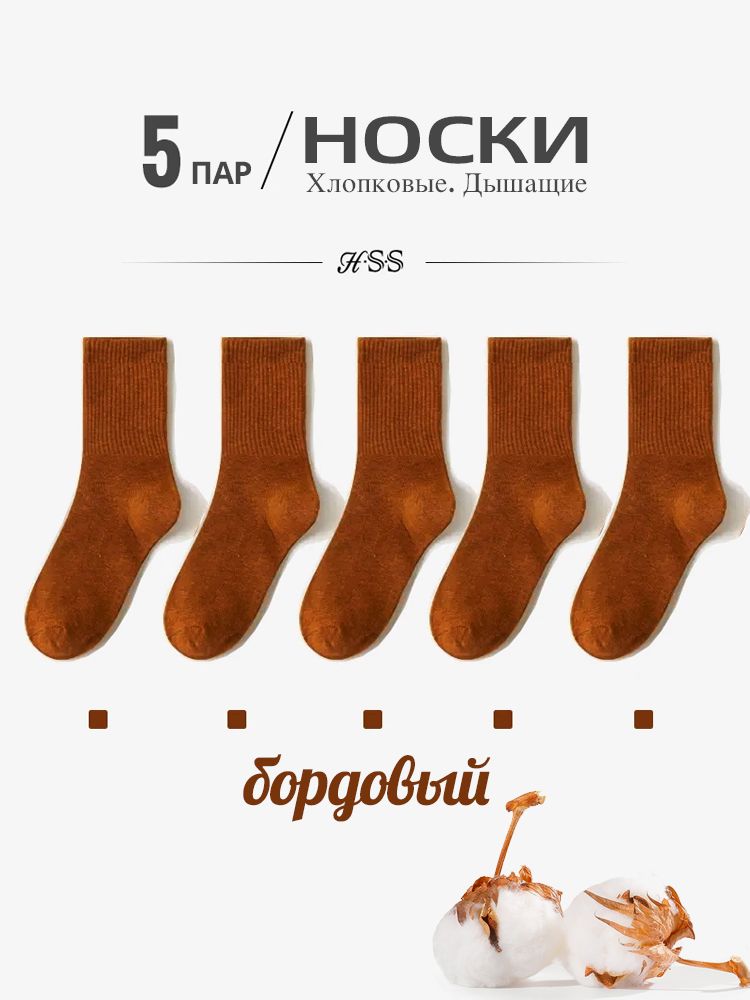 Расчесанные хлопчатобумажные носки, HSS, Летний красочный носок, 5 пар