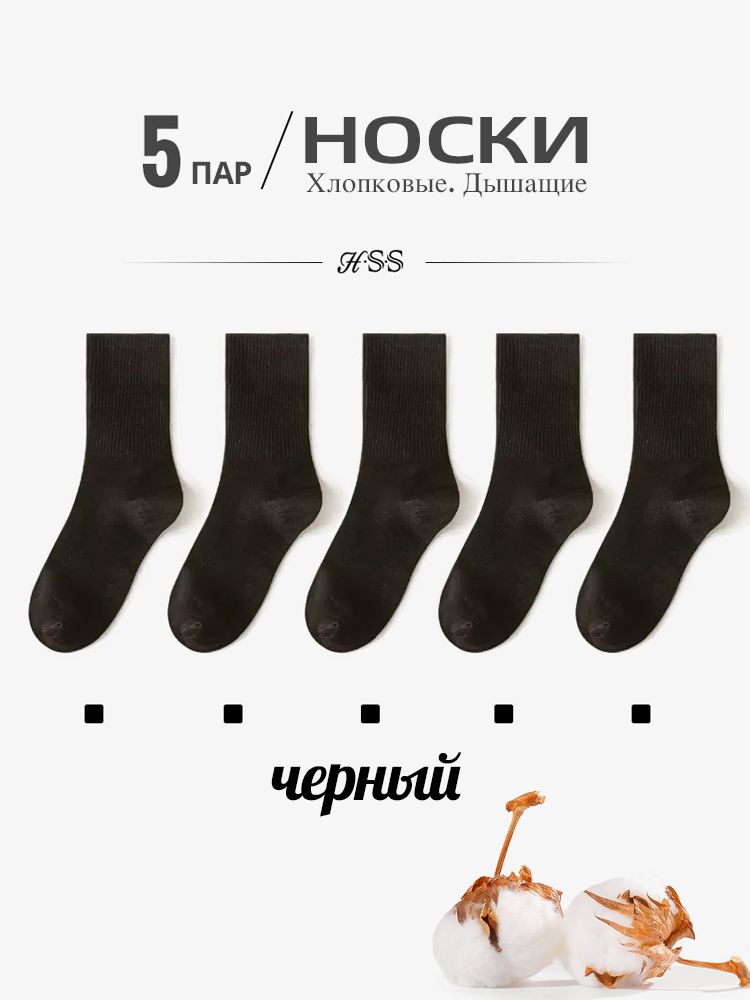 Расчесанные хлопчатобумажные носки, HSS, Летний красочный носок, 5 пар