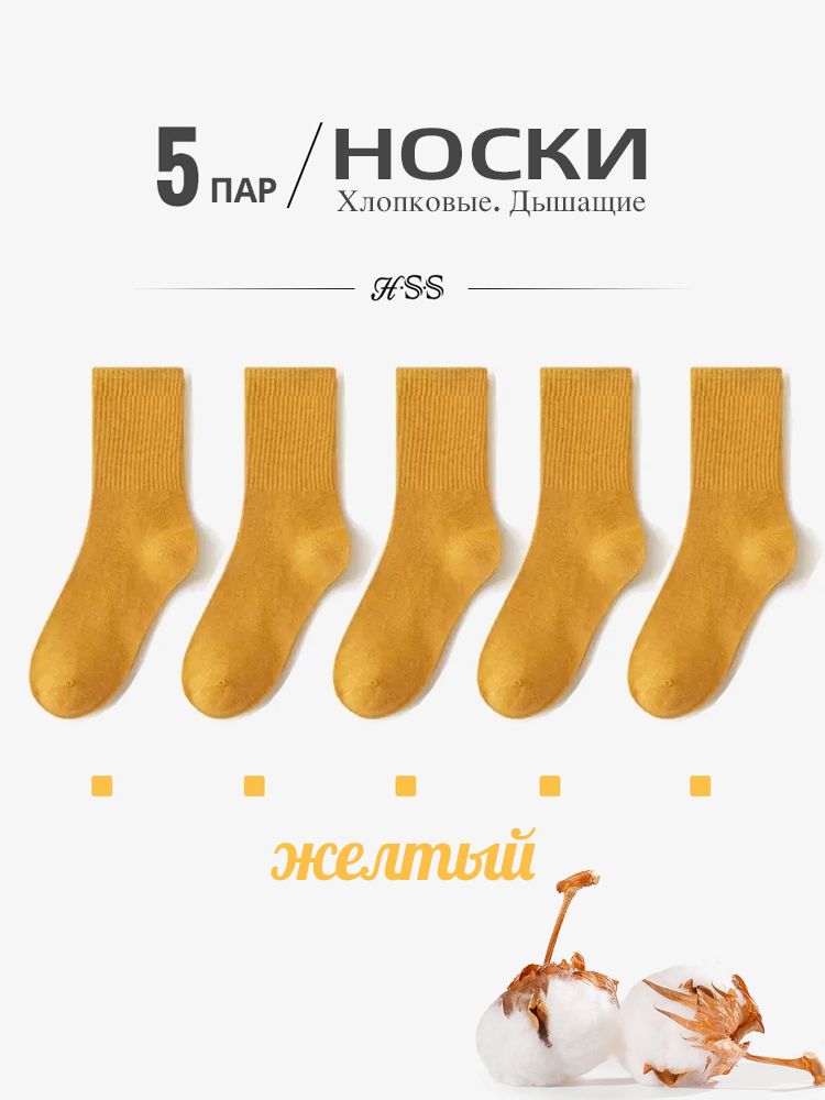 Расчесанные хлопчатобумажные носки, HSS, Летний красочный носок, 5 пар