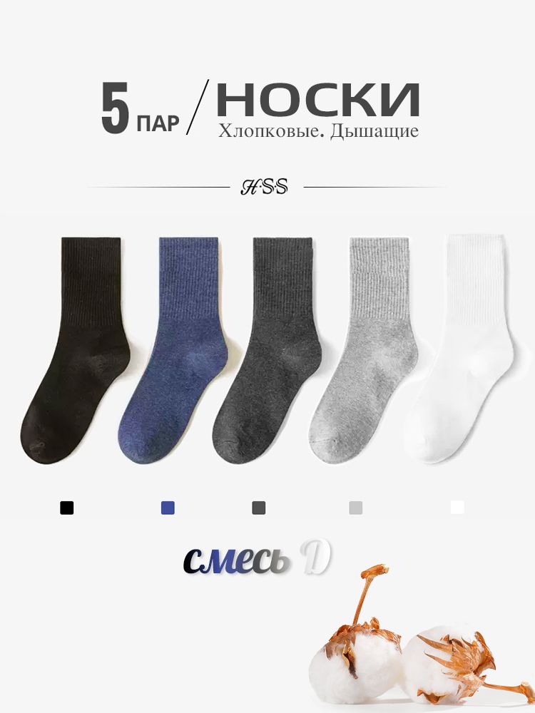 Расчесанные хлопчатобумажные носки, HSS, Летний красочный носок, 5 пар