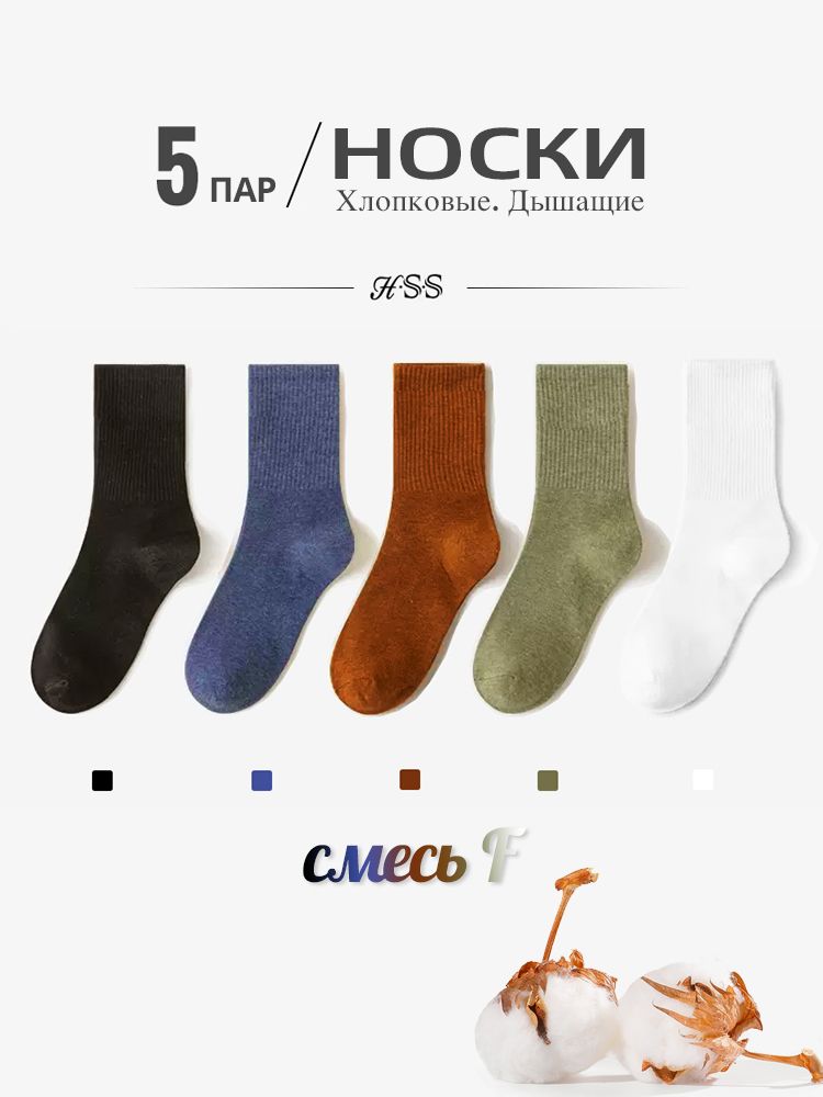 Расчесанные хлопчатобумажные носки, HSS, Летний красочный носок, 5 пар